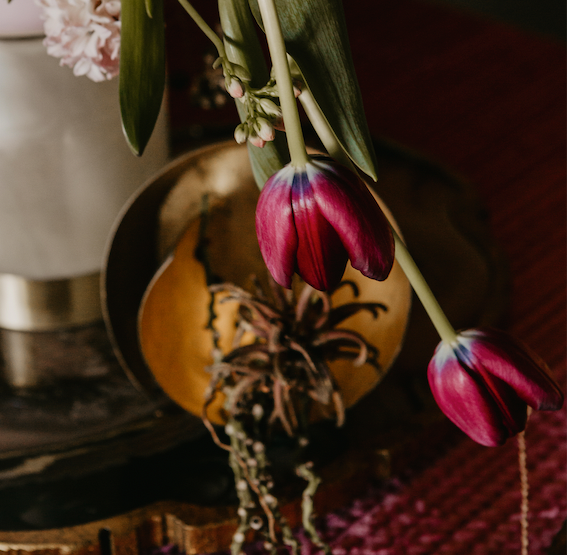 Autumn Pinks • Styled Shoot