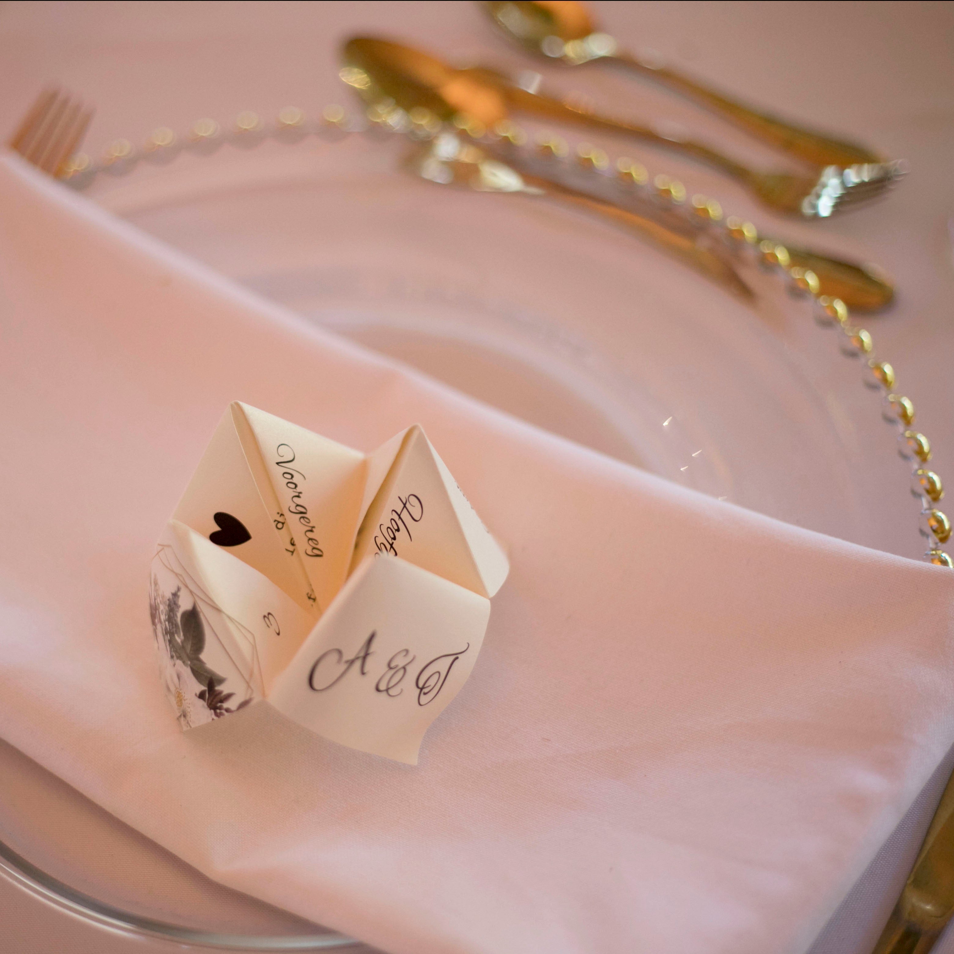 Cootie Catcher • 3 in 1