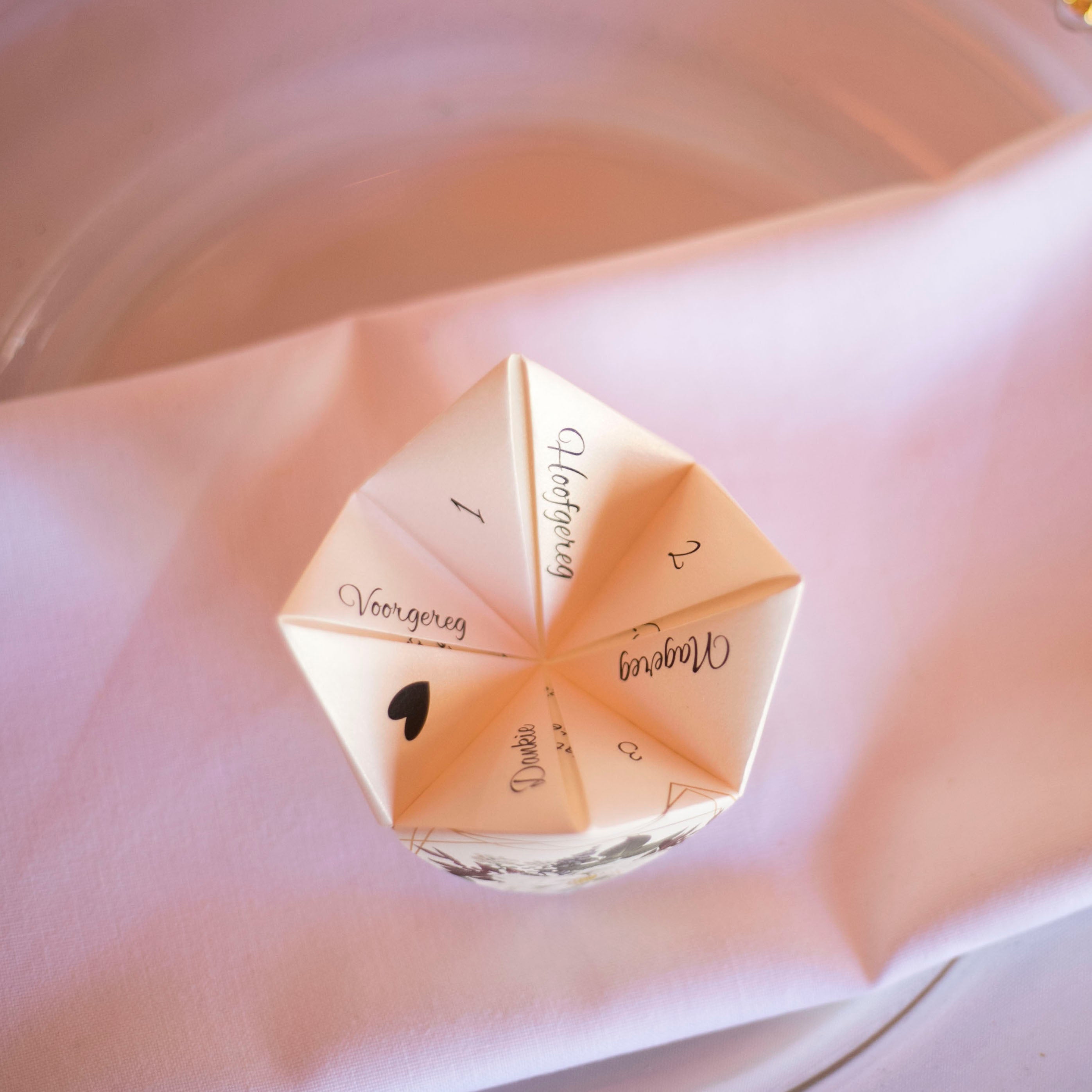 Cootie Catcher • 3 in 1