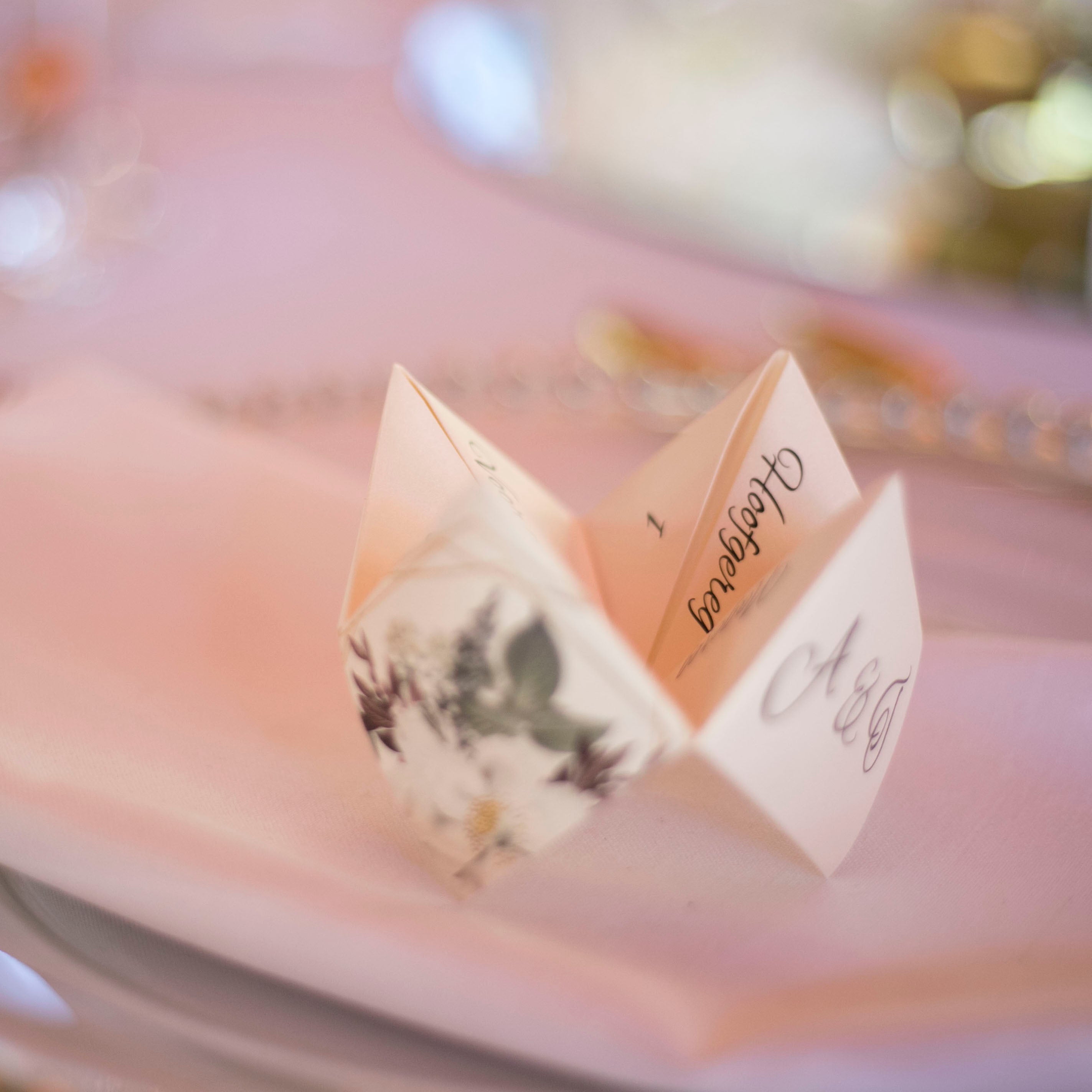 Cootie Catcher • 3 in 1