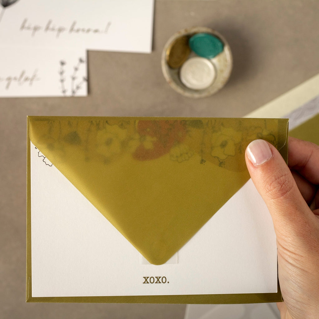 Transparent • Khaki