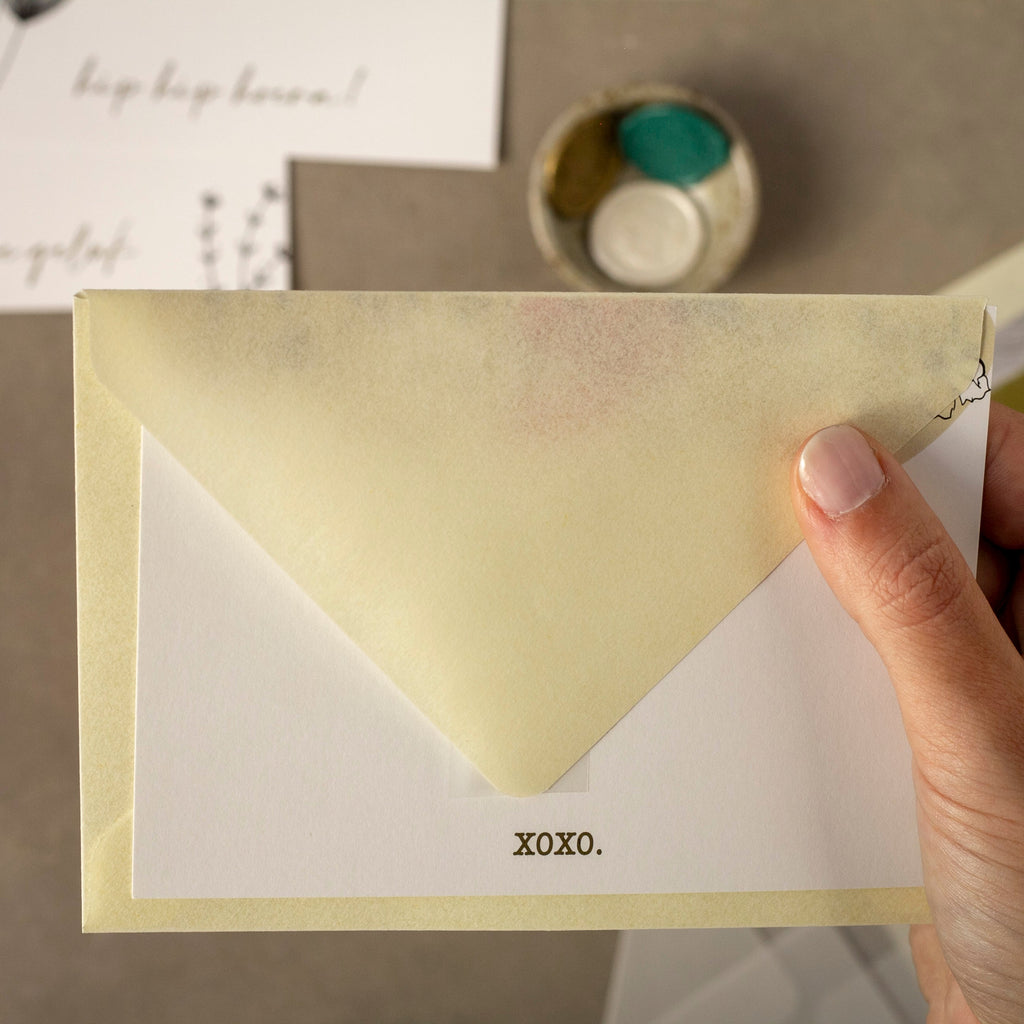 Transparent • Vanilla